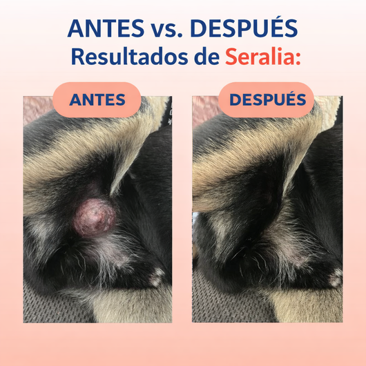 Probiótico de Cola de Pavo