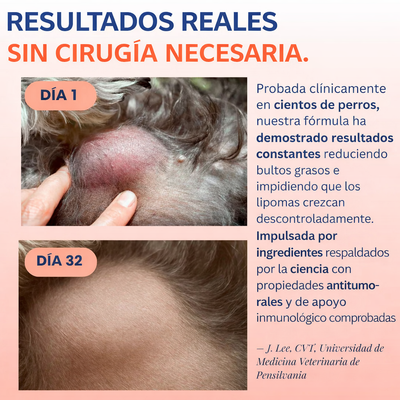 Probiótico de Cola de Pavo