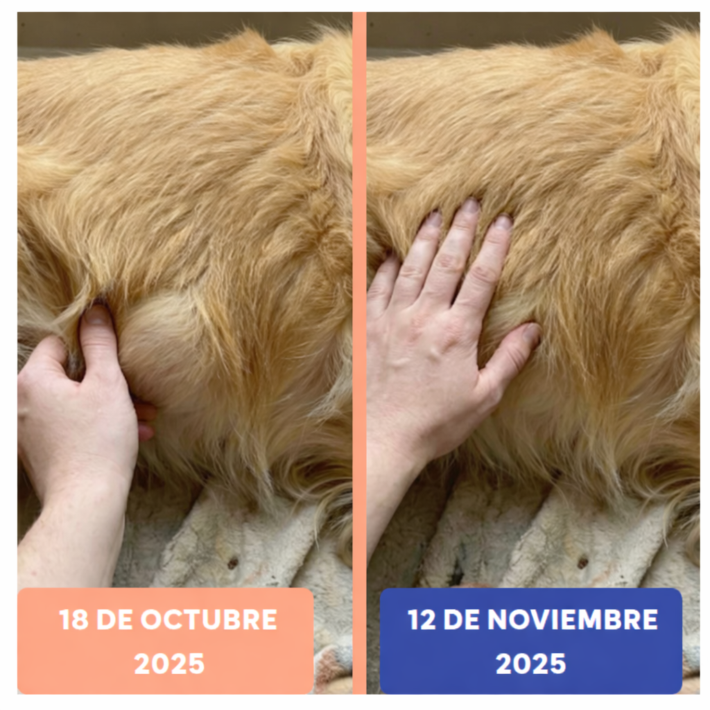 Why Premium Skincare