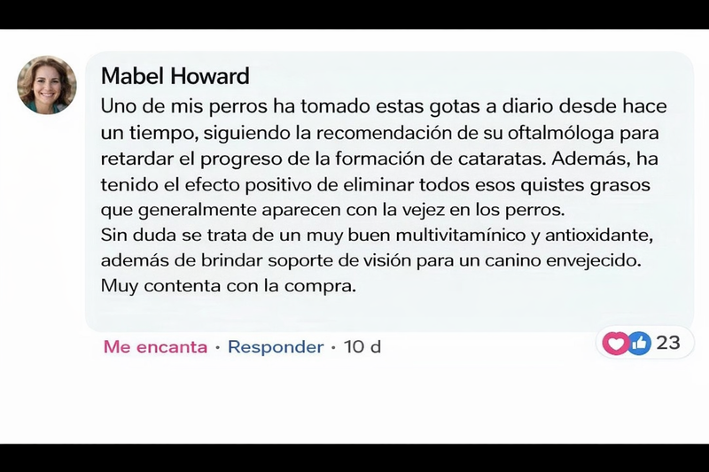 Descriptive image text