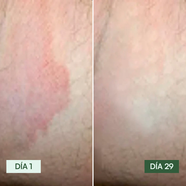 Review by Roberto C.