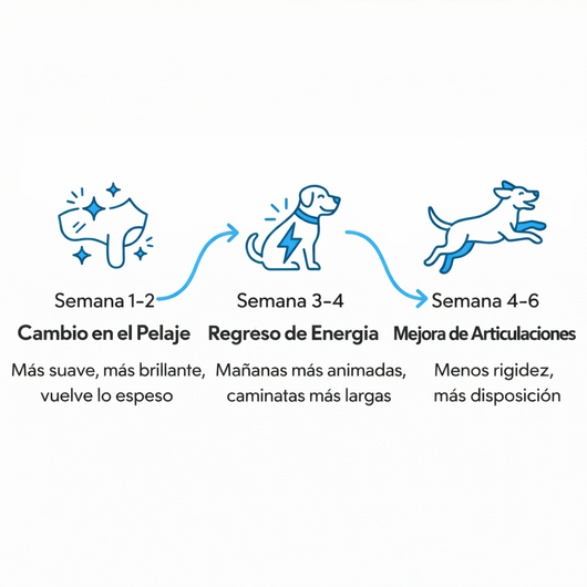 Gotas de Colageno para Perros