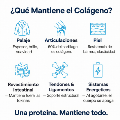 Gotas de Colageno para Perros