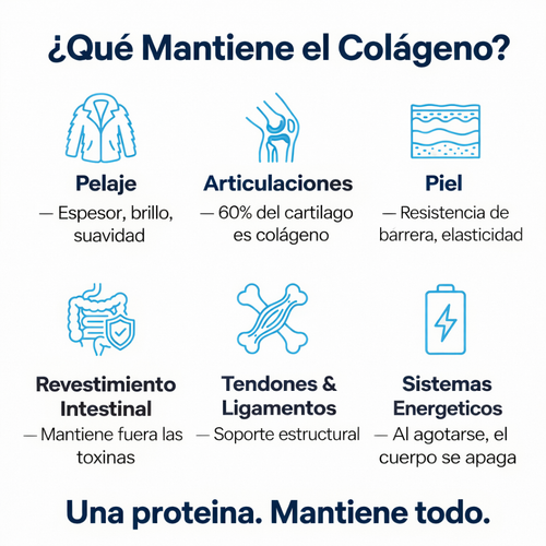 Gotas de Colageno para Perros