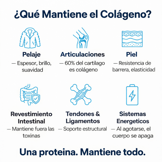 Gotas de Colageno para Perros