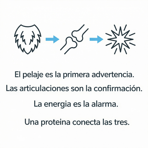 Gotas de Colageno para Perros