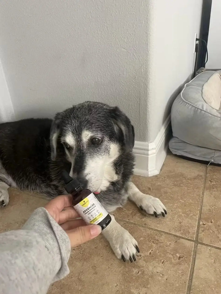 Review by Faith Hayes