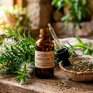 Aceite de árbol de té